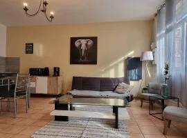 T4 rénové 95 m2 cosy confort !