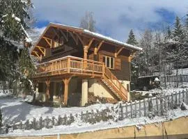 Beautiful cozy chalet with mountain view