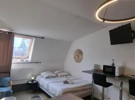 T1 rénové 26m2 cosy confort !