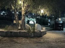 Cabañas la Gringa