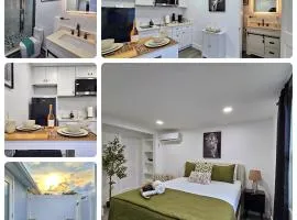 The Executive Landing , 1BR, 7 TPA Airport, AC, Free Pkng, Wine, Fast Wi-Fi