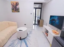 Modern Luxury 1BR in Kilimani WIFI,Netflix,free packing