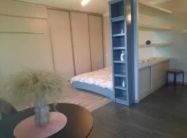 Studio Apartment 2