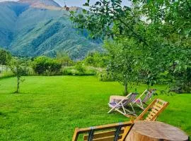 Cottage inn Cemi