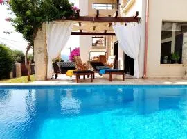 Villa Vanessa