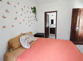 Apartamento rustico con alberca en versalles