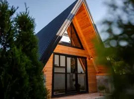 Montenegrina Wood House