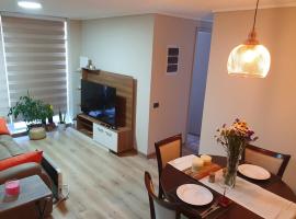 Dpto full equipado,dormitorio en suite en Valdivia, family hotel in Valdivia