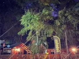 cabañas turismo las trancas
