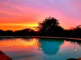Peaceful Family Retreat Near AT&T Stadium, Texas Rangers, Six Flags, Epic Waters Indoor Waterpark, DFW Airport & More!