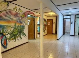 Bioluminiscencia Hostel Tours Santa Teresa