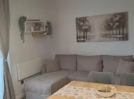 Lawa Apartments Kopaonik