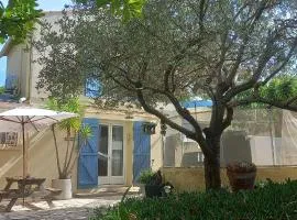 Maison jardin grande piscine , sortie bateau possible