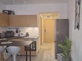 Iris Studio Rin Residence