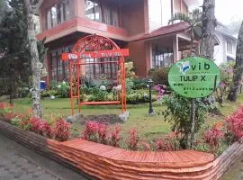 Villa Dinar Tulip VIB