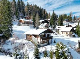 Chalet Heinrich Ski in & Ski out - Apartment Bergblick