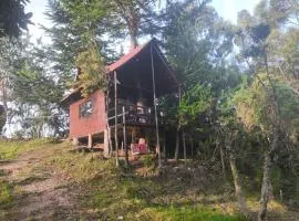 Cabaña sesquile del arbol