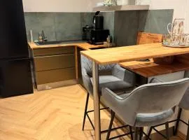 Apartmán u Vetešnictví