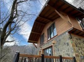 &Ccedil;alıkuşu Dağ Evi, casa de campo em Bursa