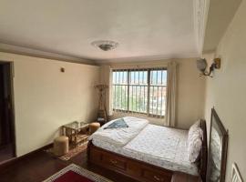 Homely, serviced apartment in Kathmandu