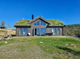 New Mountain Cabin With Views Over Eggedal