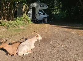 Camping - Bring dein Zelt oder Van und erlebe unseren Verein!