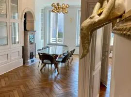 Vosges en Ville luxueux appartement Duplex avec sauna espace bien être au centre d'Epinal