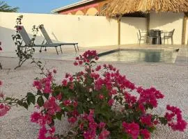 Luxe Huis Met Privzwembad Villapark Fontein