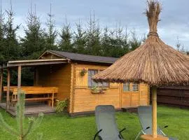 Villa de Alvydo Anykščiuose