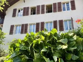 Lakeview Swiss Chalet with Hot Tub near Interlaken