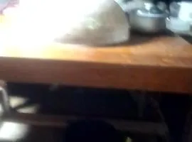 Avada Trat
