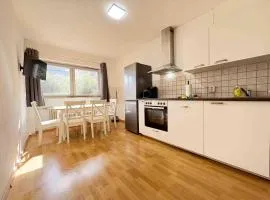 SAD130 - Schöne Monteurwohnungen in Schwandorf