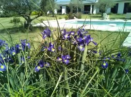 Villa Helychrisa