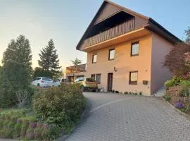 Haus schöne Aussicht bei Chemnitz