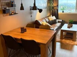 Leilighet i Telemark på Gautefall, i Drangedal, familievennlig og koselig, Ski inn-Ski out