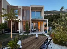 Green Coast Palase 241