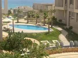 العين السخنة
