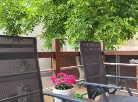 Apartament Pod Orzechem
