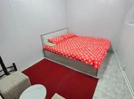 New Hostel in Tashkent