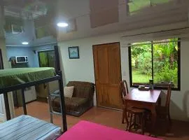 Apartment-Pura Vida-Wi-Fi-TV-WC-AC-Parqueo