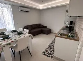 Lo duca luxury home