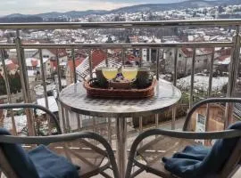 Apartman PK Vrnjačka Banja