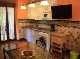 Apartamentos Flordelinto