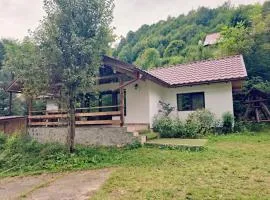 Rustic Home