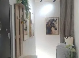 Бизнес & Арт апартамент - до Панаира и Капана