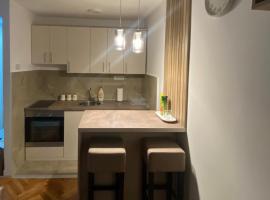 Condo Studio Inn "near Delta Planet", condo in Niš