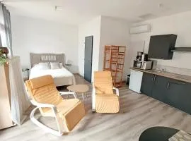 Large studio avec terrasse