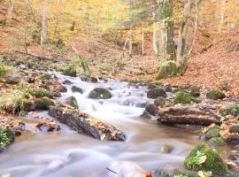 Fowo-Mangfalltal "Herbstidyll am Fluss "