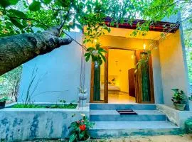 The Mirror Wall Sigiriya