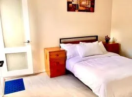 Bright & Quiet 1BR with Courtyard